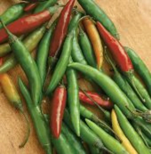 Small Thai Chili Peppers HP308-20