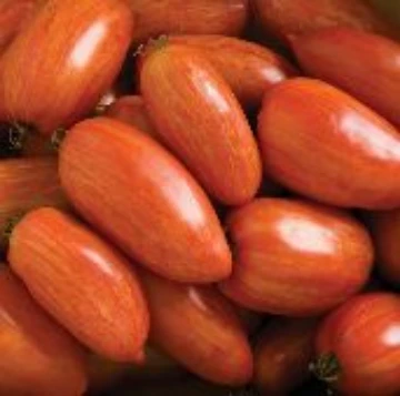 Speckled Roman Tomato Seeds