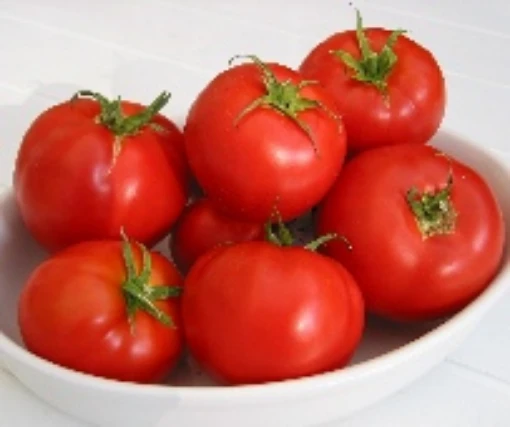 St Pierre Tomato TM125-20