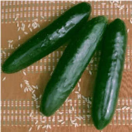 Stonewall Cucumbers CU4-20