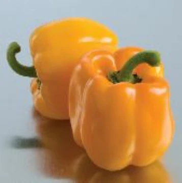 Sunrise Orange Pepper Seeds