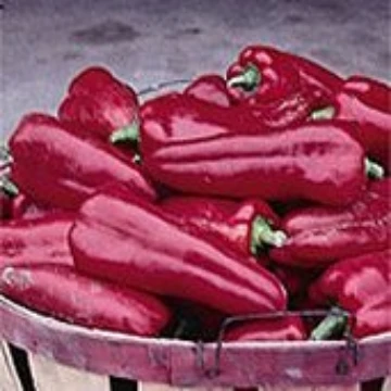 Super Shepherd Pepper Seeds