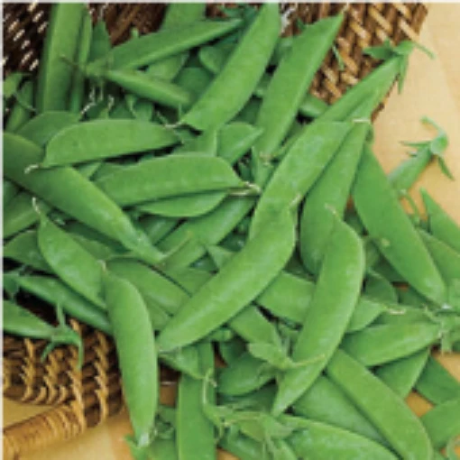 Super Sugar Snap Peas PE18-50