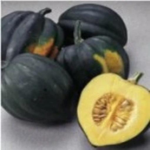 Table King Squash SQ31-20
