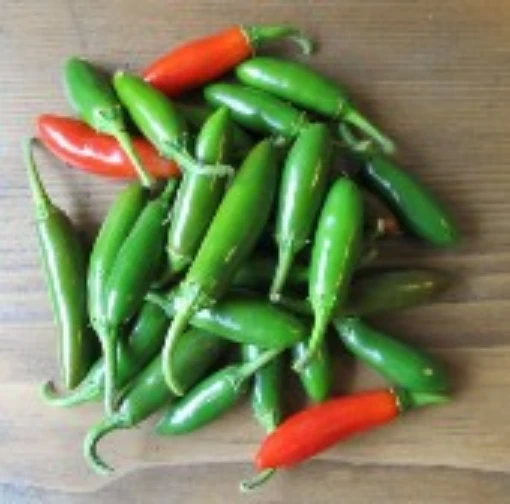 Tam Serrano Hidalgo Hot Peppers HP1164-20