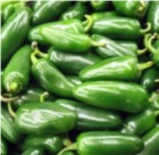 Tam Vera Cruz Hot Peppers HP319-20
