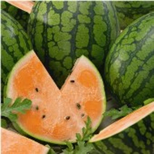 Tendersweet Watermelons WM19-20