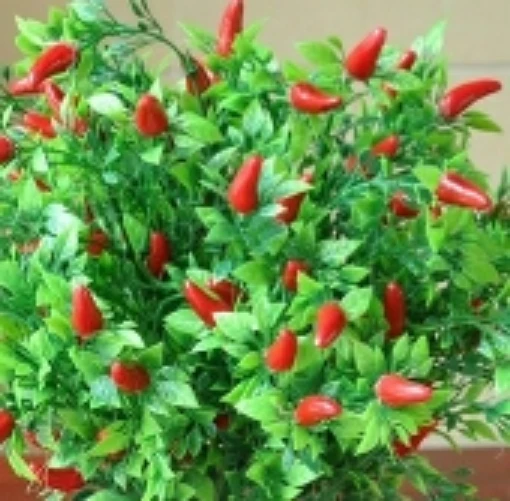 Thai Sun Hot Peppers HP455-10