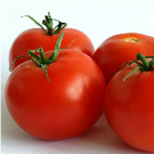 Tropic Tomato TM270-20