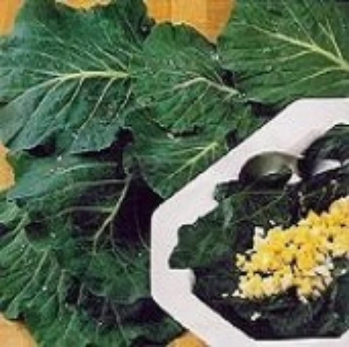 Vates Collards CD3-100