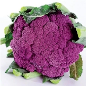 Violetta Italia Cauliflower Seeds