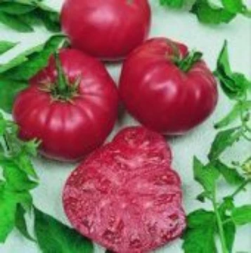 Watermelon Beefsteak Tomato Seeds