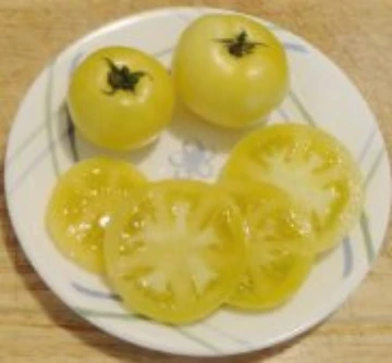 White Bush Tomato Seeds