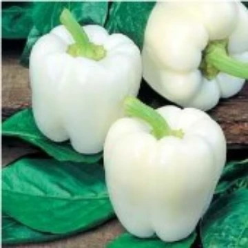White Cloud Pepper Seeds