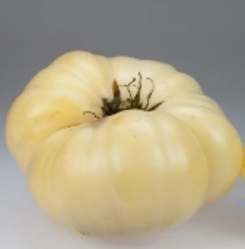White Wonder Tomato Seeds