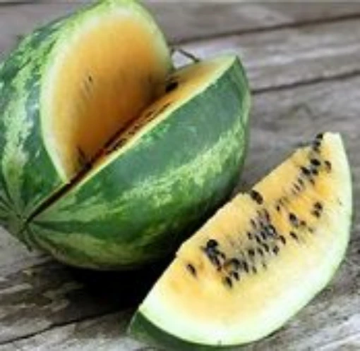 Tendergold Watermelons WM44-20
