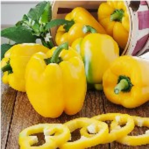 Yellow Belle II Sweet Peppers SP158-20