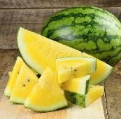 Yellow Crimson Watermelons PVP WM45-20