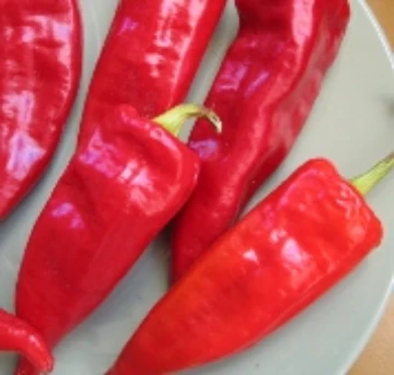 Zia Pueblo Pepper Seeds