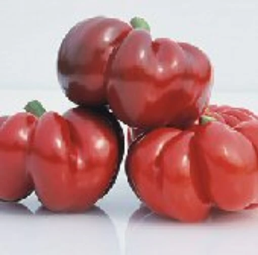 Round of Hungary Sweet Peppers SP262-20