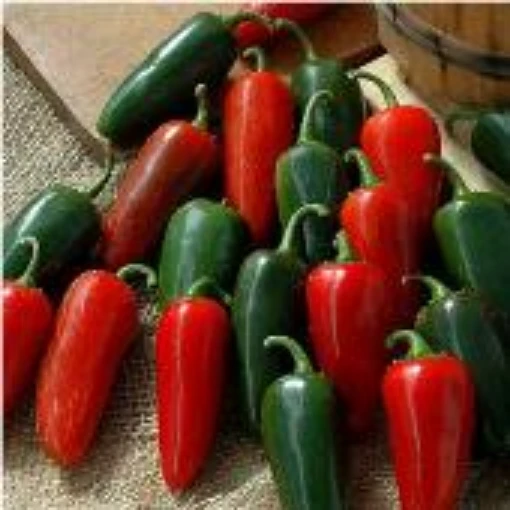 Telica Hot Peppers HP2031-10