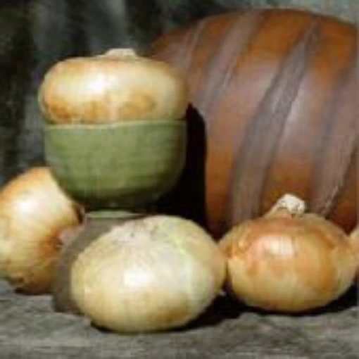 Georgia Boy Onions ON50-100