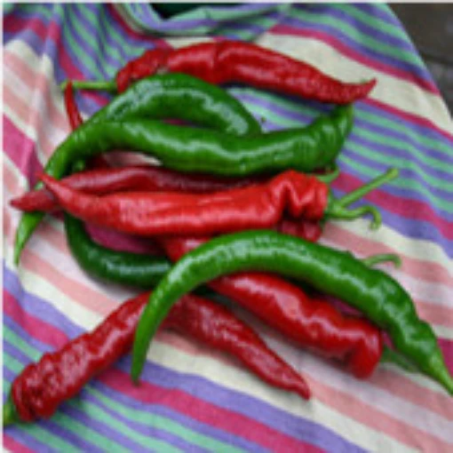 El Hombre Hot Peppers HP2032-10