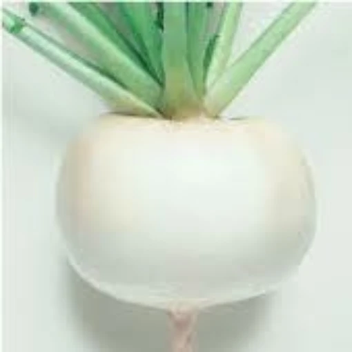 Just Right Turnips TP6-100