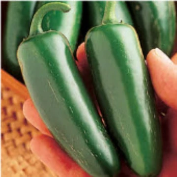 Mucho Nacho Pepper Seeds