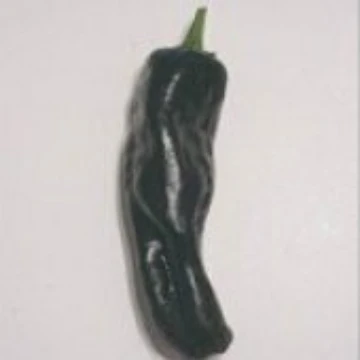 Negro Pepper Seeds