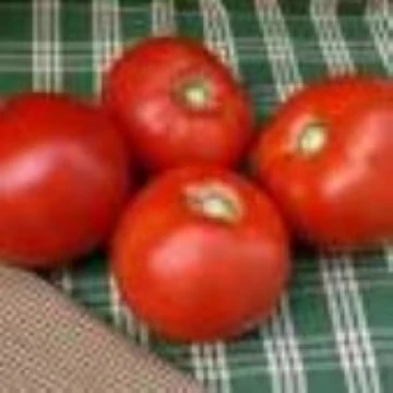 Biltmore Tomato Seeds