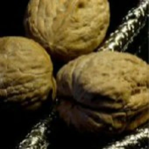 English Walnut Tree TR13-3