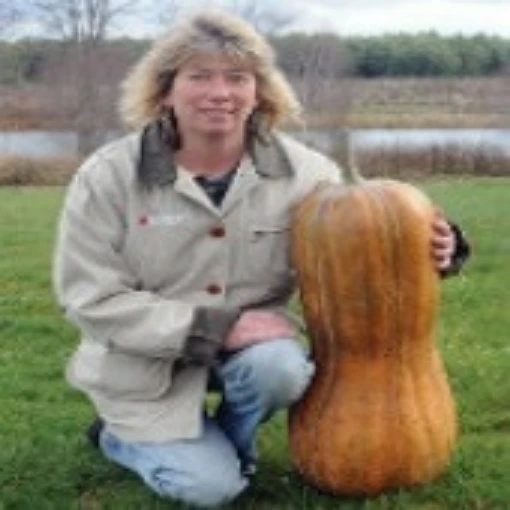 Naples Long Pumpkins PM55-10