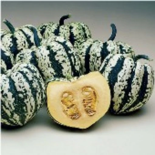 Heart of Gold Squash SQ109-20