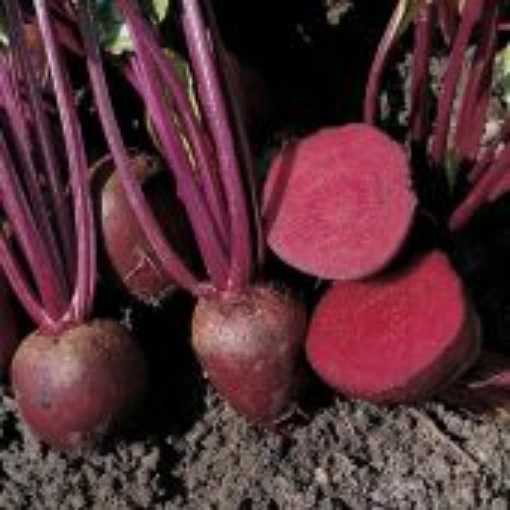 Pablo Baby Beets BT29-50