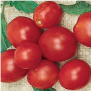 Alaskan Fancy Tomato Seeds
