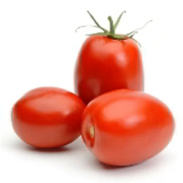 Tomato H. Reimer Seeds