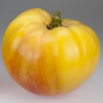 Dagma's Perfection Tomato Seeds