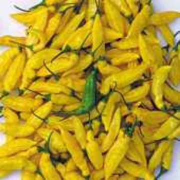 Lemon Drop Pepper Seeds