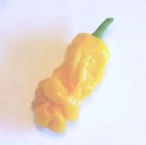 Peter Yellow Pepper Seeds