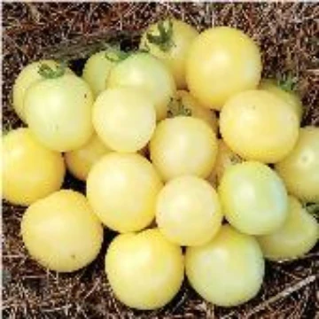 White Cherry Tomato Seeds