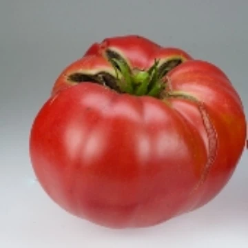 Boondocks Tomato Seeds