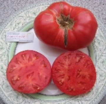 Stump of the World Tomato Seeds