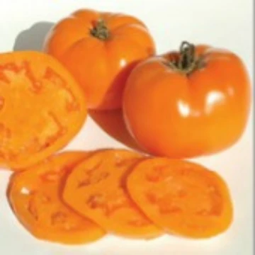Valencia Tomato Seeds