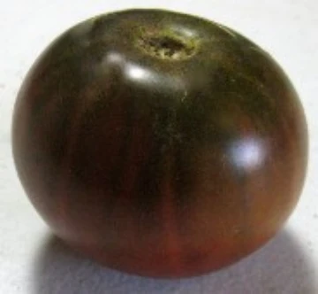 Blue Fruit Tomato Seeds