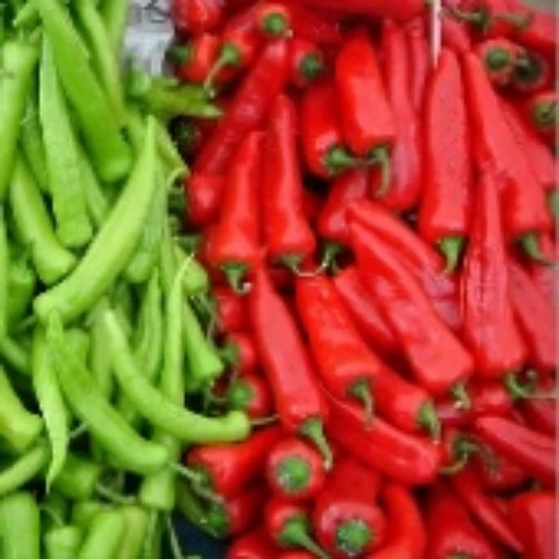 Chile Parado Hot Peppers HP2113-10