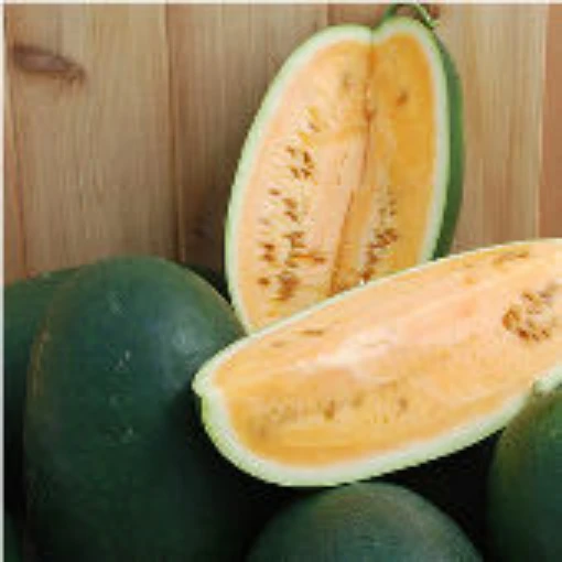 Sweet Siberian Watermelons WM53-10