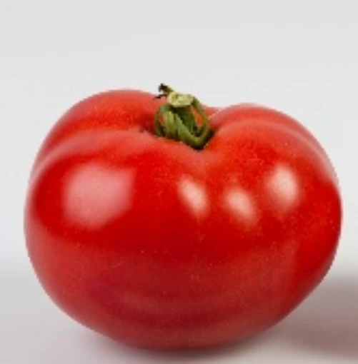 Ultra Sweet Tomato TM375-20