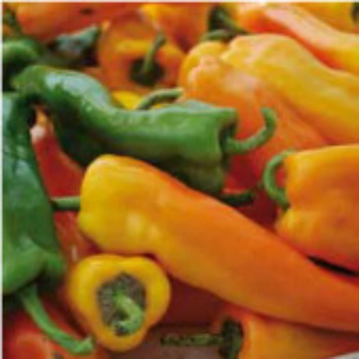Golden Treasure Sweet Peppers SP307-10