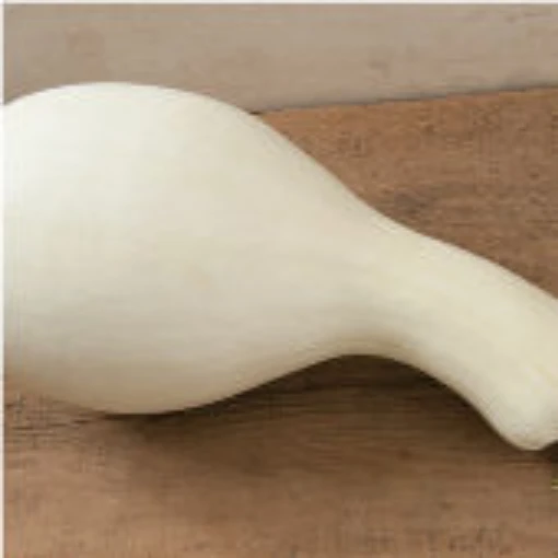 White Cushaw Pumpkins PM44-20